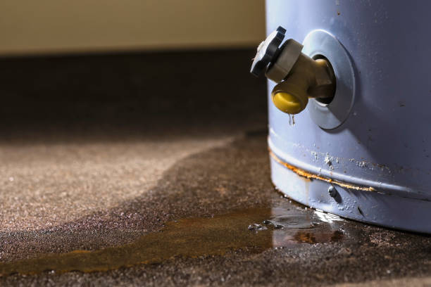 Best Carpet water damage restoration  in Clever, MO