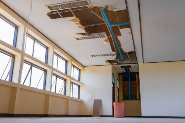 Best Ceiling water damage repair  in Clever, MO