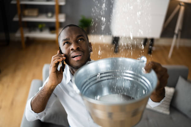 Best Flood restoration services  in Clever, MO