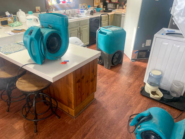 Best 24-hour water damage restoration  in Clever, MO