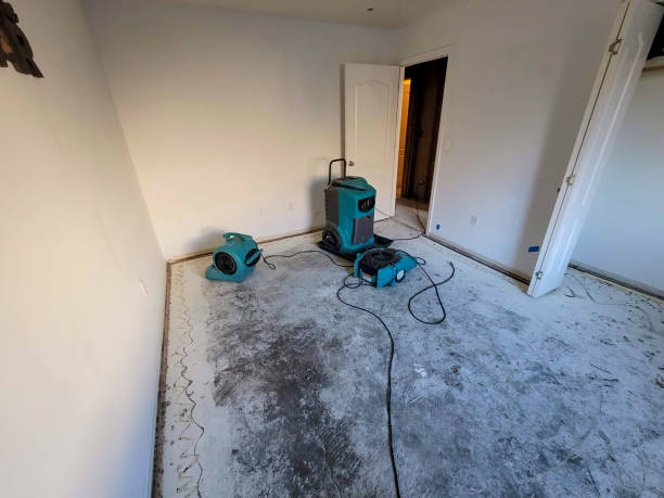 Best Water damage restoration experts  in Clever, MO
