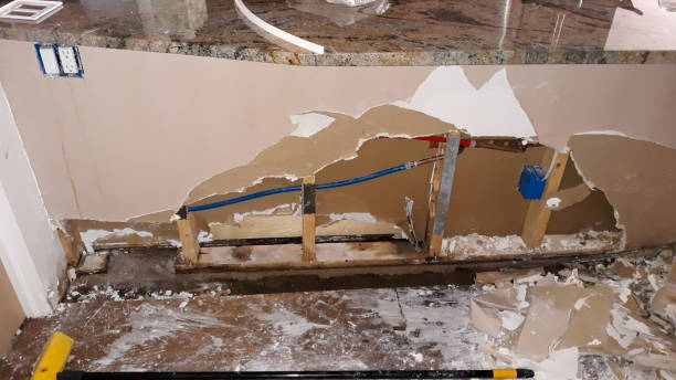 Best Flooded house restoration  in Clever, MO