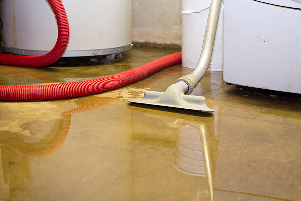  Clever, MO Water damage restoration Pros