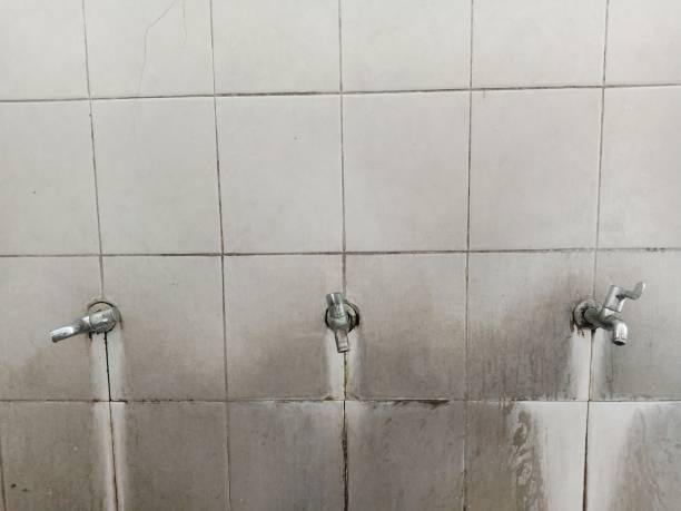 Best Mold removal after water damage  in Clever, MO