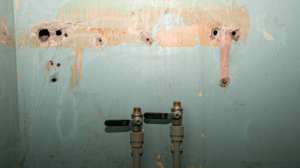 Best Water damage restoration near me  in Clever, MO