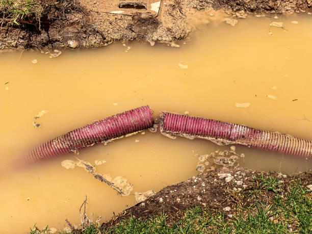 Best Sewage cleanup and water damage restoration  in Clever, MO