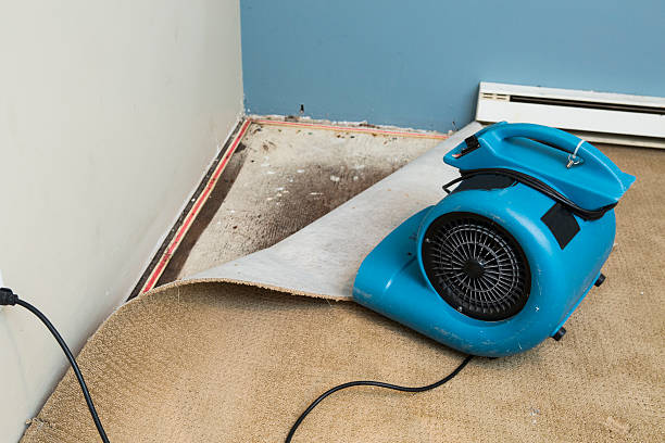 Best Emergency water damage restoration  in Clever, MO